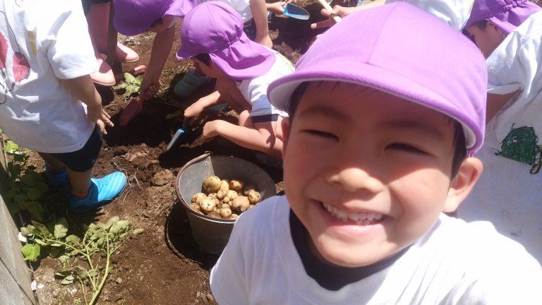 6/19 年長　じゃがいも掘り