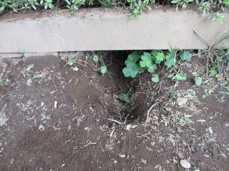 ７月　好奇心の痕跡