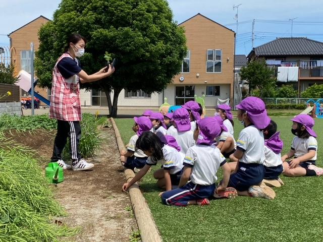 活動がはじまりました♪♪