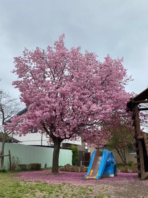 令和６年度が始業しました！